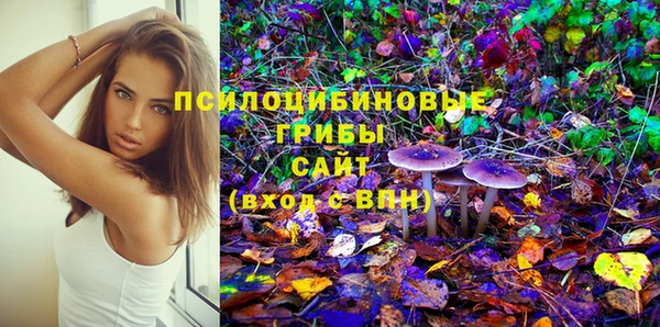 героин Рославль